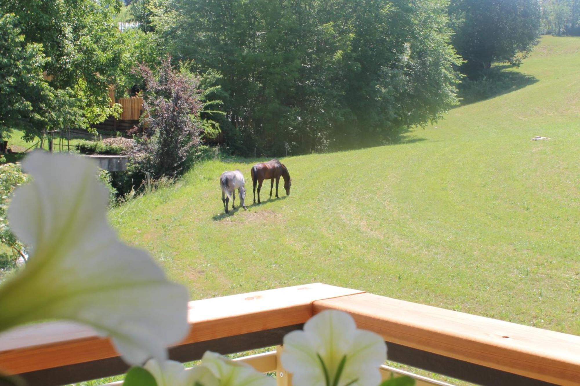 House Gabrijel With Four Seasons Outdoor Kitchen Villa Bled Exteriör bild